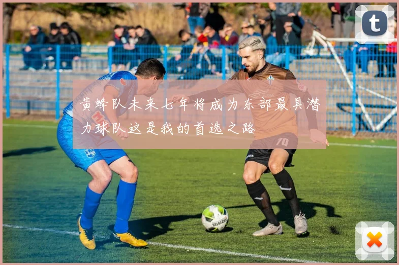 黄蜂队未来七年将成为东部最具潜力球队这是我的首选之路