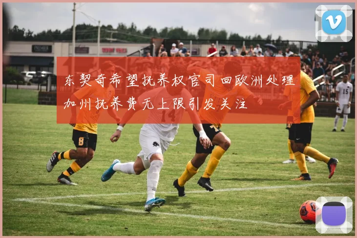 东契奇希望抚养权官司回欧洲处理加州抚养费无上限引发关注